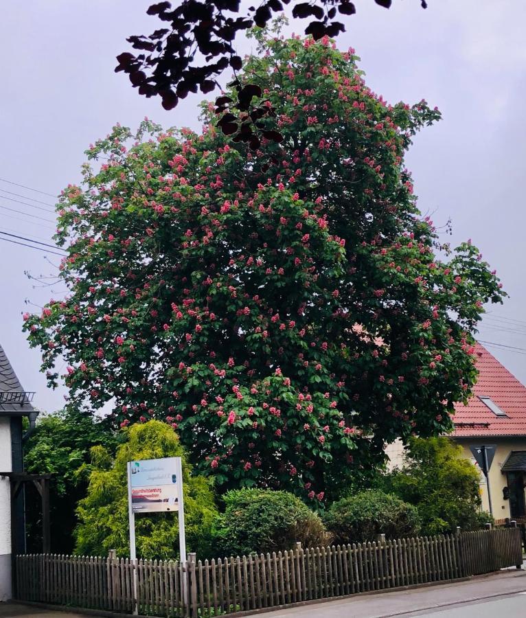 Ferienwohnung Gemütliche Fewo Nähe Hachenburg, Bad Marienberg Langenbach bei Kirburg Exterior foto